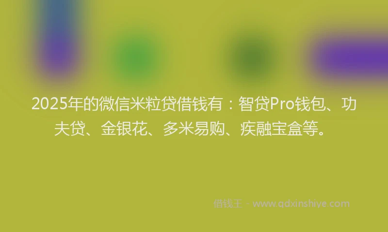 2025年的微信米粒贷借钱有：智贷Pro钱包、功夫贷、金银花、多米易购、疾融宝盒等。