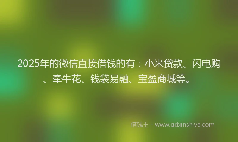 2025年的微信直接借钱的有：小米贷款、闪电购、牵牛花、钱袋易融、宝盈商城等。