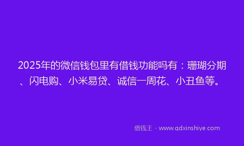 2025年的微信钱包里有借钱功能吗有：珊瑚分期、闪电购、小米易贷、诚信一周花、小丑鱼等。