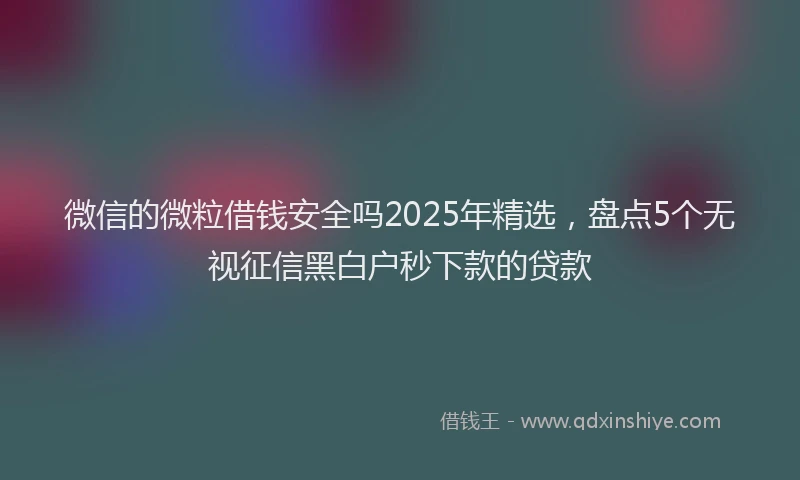 微信的微粒借钱安全吗2025年精选，盘点5个无视征信黑白户秒下款的贷款