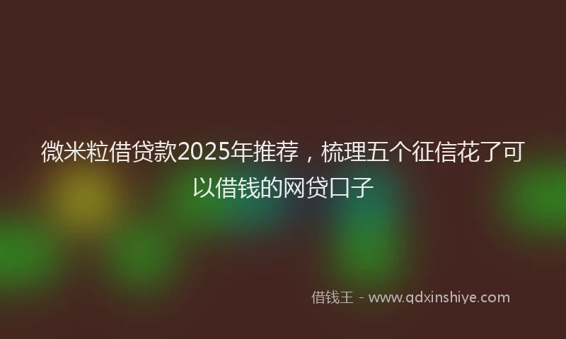 微米粒借贷款2025年推荐，梳理五个征信花了可以借钱的网贷口子