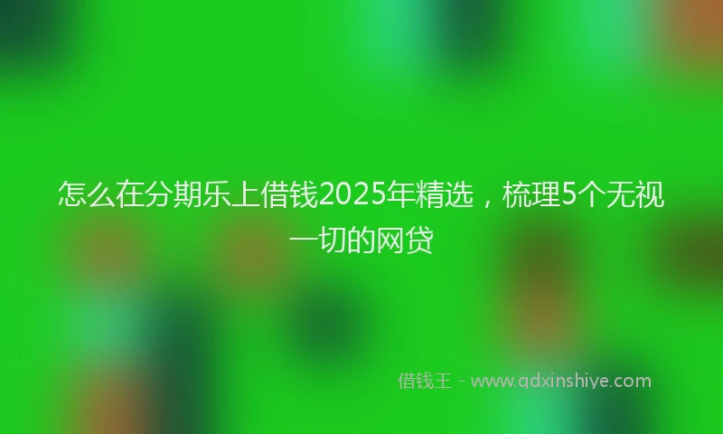 怎么在分期乐上借钱2025年精选，梳理5个无视一切的网贷
