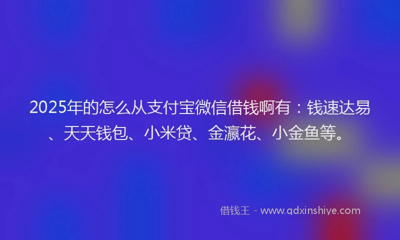 2025年的怎么从支付宝微信借钱啊有：钱速达易、天天钱包、小米贷、金瀛花、小金鱼等。