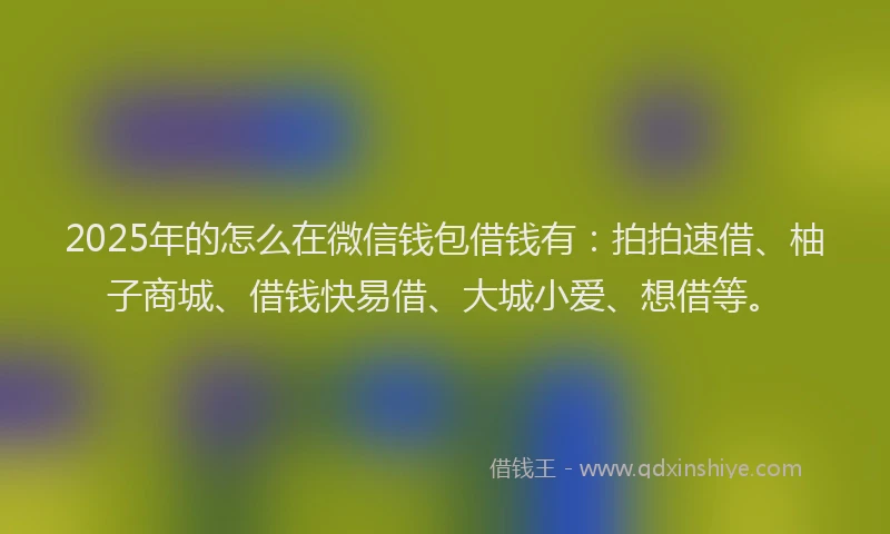 2025年的怎么在微信钱包借钱有：拍拍速借、柚子商城、借钱快易借、大城小爱、想借等。
