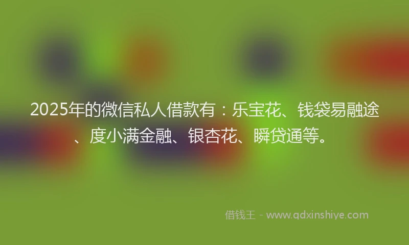2025年的微信私人借款有：乐宝花、钱袋易融途、度小满金融、银杏花、瞬贷通等。