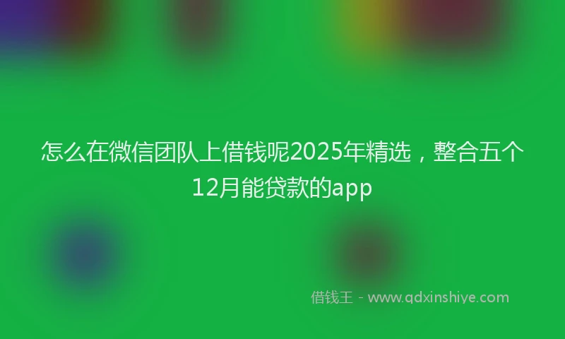 怎么在微信团队上借钱呢2025年精选，整合五个12月能贷款的app