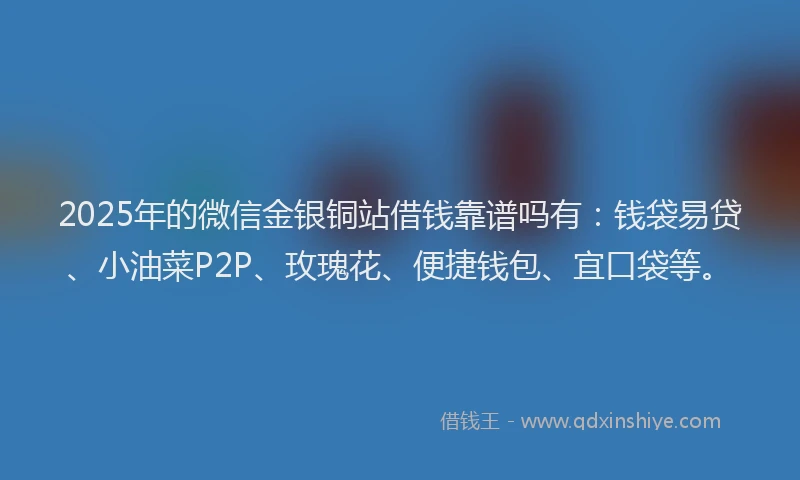 2025年的微信金银铜站借钱靠谱吗有：钱袋易贷、小油菜P2P、玫瑰花、便捷钱包、宜口袋等。