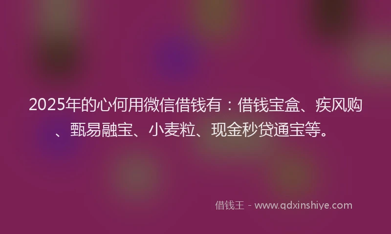 2025年的心何用微信借钱有：借钱宝盒、疾风购、甄易融宝、小麦粒、现金秒贷通宝等。