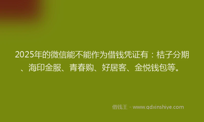 2025年的微信能不能作为借钱凭证有：桔子分期、海印金服、青春购、好居客、金悦钱包等。