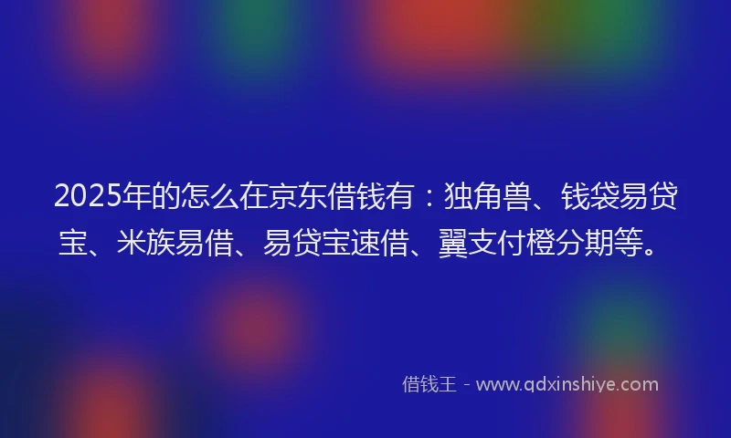 2025年的怎么在京东借钱有：独角兽、钱袋易贷宝、米族易借、易贷宝速借、翼支付橙分期等。