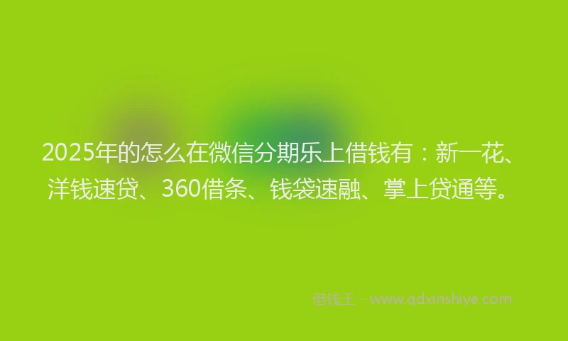 2025年的怎么在微信分期乐上借钱有：新一花、洋钱速贷、360借条、钱袋速融、掌上贷通等。