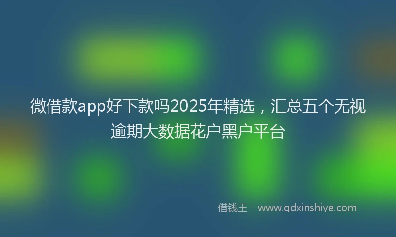 微借款app好下款吗2025年精选，汇总五个无视逾期大数据花户黑户平台