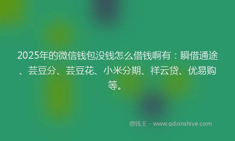 2025年的微信钱包没钱怎么借钱啊有：瞬借通途、芸豆分、芸豆花、小米分期、祥云贷、优易购等。