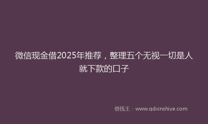 微信现金借2025年推荐，整理五个无视一切是人就下款的口子