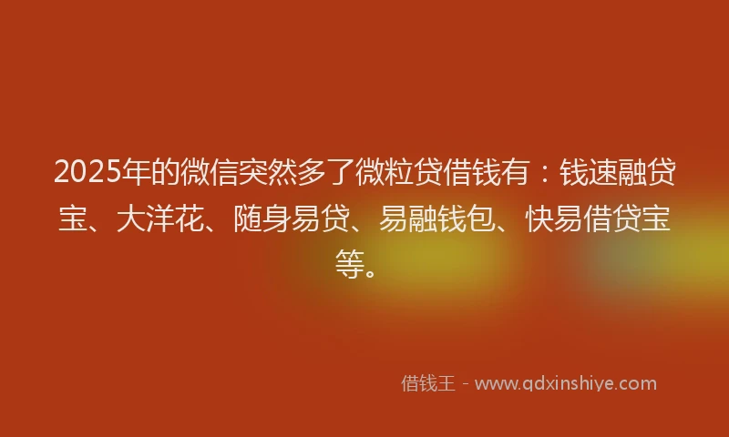 2025年的微信突然多了微粒贷借钱有：钱速融贷宝、大洋花、随身易贷、易融钱包、快易借贷宝等。