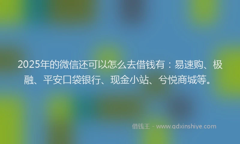 2025年的微信还可以怎么去借钱有：易速购、极融、平安口袋银行、现金小站、兮悦商城等。