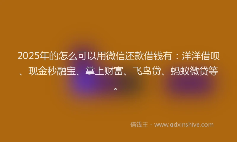 2025年的怎么可以用微信还款借钱有：洋洋借呗、现金秒融宝、掌上财富、飞鸟贷、蚂蚁微贷等。