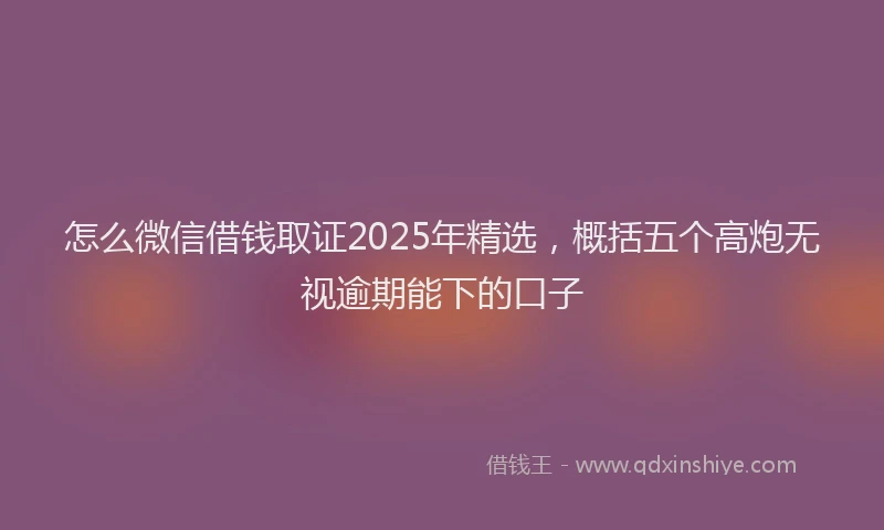 怎么微信借钱取证2025年精选，概括五个高炮无视逾期能下的口子