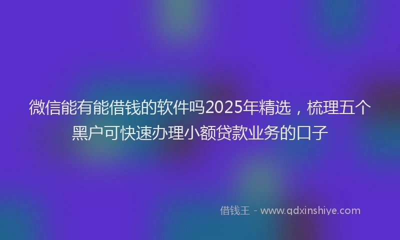 微信能有能借钱的软件吗2025年精选，梳理五个黑户可快速办理小额贷款业务的口子