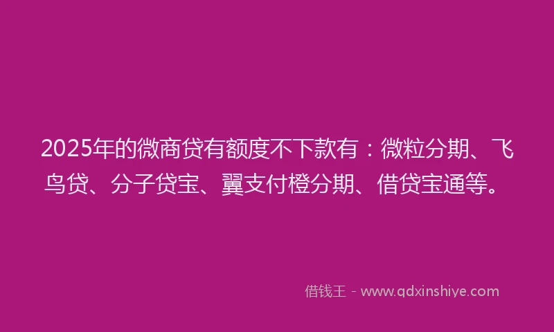 2025年的微商贷有额度不下款有：微粒分期、飞鸟贷、分子贷宝、翼支付橙分期、借贷宝通等。