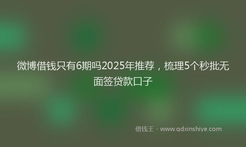 微博借钱只有6期吗2025年推荐，梳理5个秒批无面签贷款口子