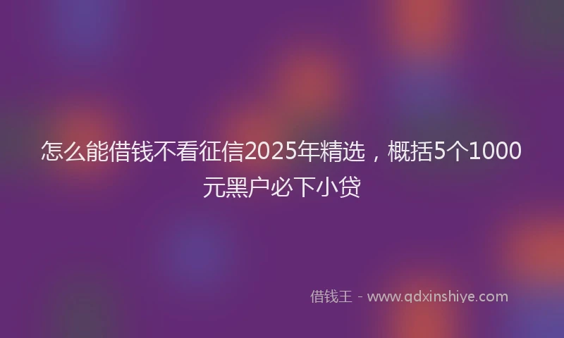 怎么能借钱不看征信2025年精选，概括5个1000元黑户必下小贷