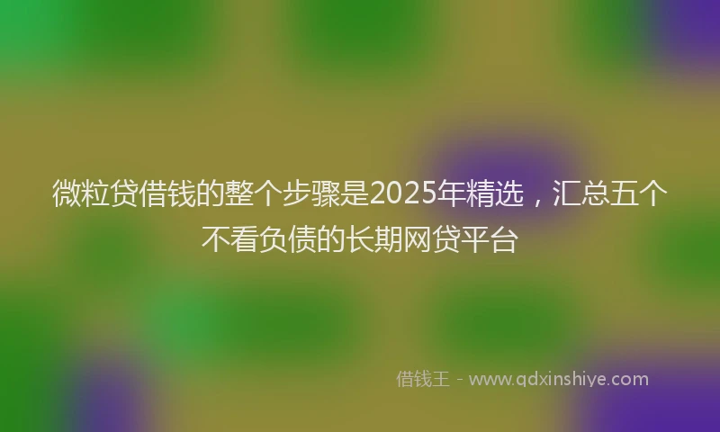 微粒贷借钱的整个步骤是2025年精选，汇总五个不看负债的长期网贷平台
