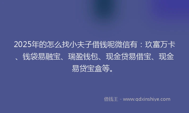 2025年的怎么找小夫子借钱呢微信有：玖富万卡、钱袋易融宝、瑞盈钱包、现金贷易借宝、现金易贷宝盒等。