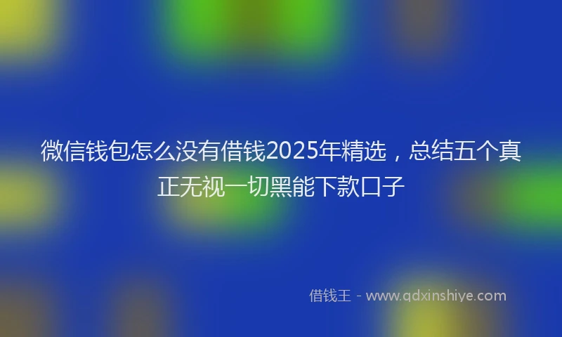 微信钱包怎么没有借钱2025年精选，总结五个真正无视一切黑能下款口子