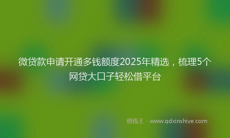 微贷款申请开通多钱额度2025年精选，梳理5个网贷大口子轻松借平台
