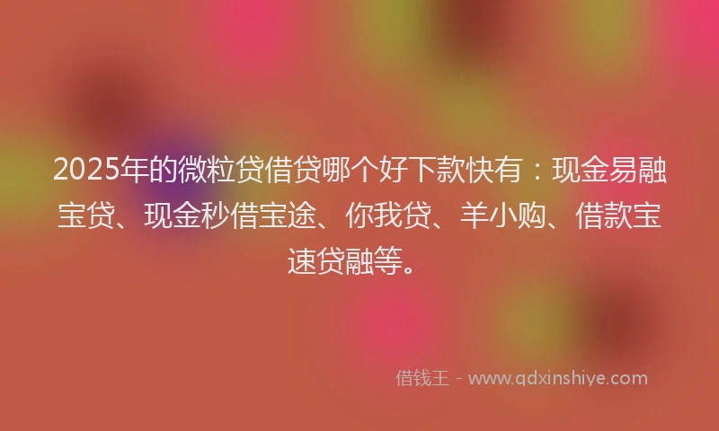 2025年的微粒贷借贷哪个好下款快有：现金易融宝贷、现金秒借宝途、你我贷、羊小购、借款宝速贷融等。