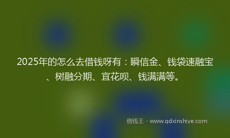 2025年的怎么去借钱呀有：瞬信金、钱袋速融宝、树融分期、宜花呗、钱满满等。