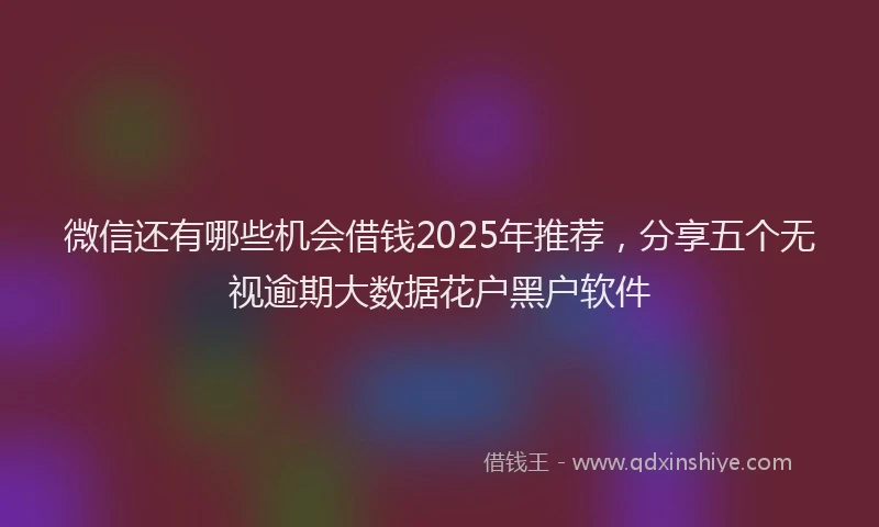 微信还有哪些机会借钱2025年推荐，分享五个无视逾期大数据花户黑户软件