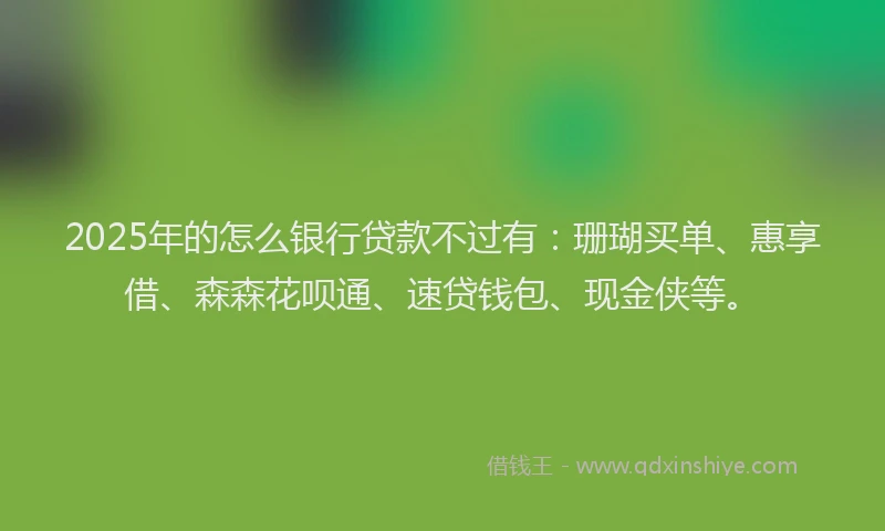 2025年的怎么银行贷款不过有：珊瑚买单、惠享借、森森花呗通、速贷钱包、现金侠等。