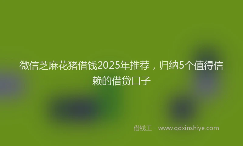 微信芝麻花猪借钱2025年推荐，归纳5个值得信赖的借贷口子