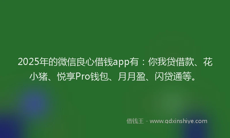 2025年的微信良心借钱app有：你我贷借款、花小猪、悦享Pro钱包、月月盈、闪贷通等。