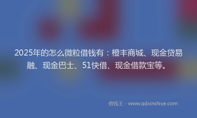2025年的怎么微粒借钱有：橙丰商城、现金贷易融、现金巴士、51快借、现金借款宝等。