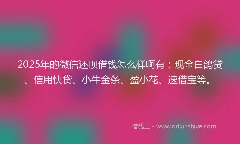 2025年的微信还呗借钱怎么样啊有：现金白鸽贷、信用快贷、小牛金条、盈小花、速借宝等。