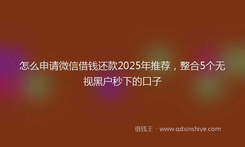 怎么申请微信借钱还款2025年推荐，整合5个无视黑户秒下的口子