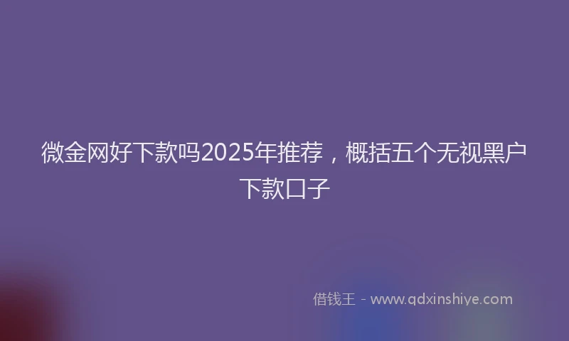 微金网好下款吗2025年推荐，概括五个无视黑户下款口子