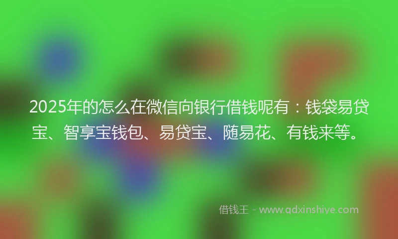 2025年的怎么在微信向银行借钱呢有：钱袋易贷宝、智享宝钱包、易贷宝、随易花、有钱来等。