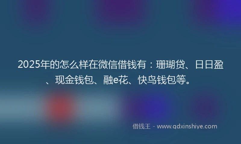 2025年的怎么样在微信借钱有：珊瑚贷、日日盈、现金钱包、融e花、快鸟钱包等。