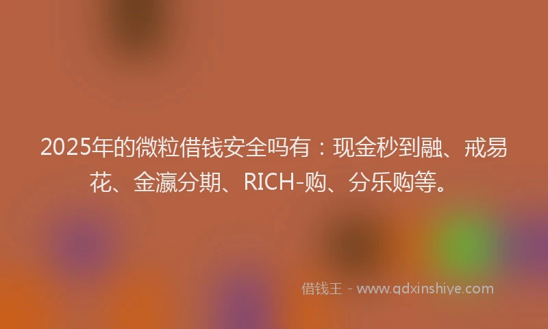 2025年的微粒借钱安全吗有：现金秒到融、戒易花、金瀛分期、RICH-购、分乐购等。