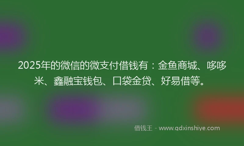 2025年的微信的微支付借钱有：金鱼商城、哆哆米、鑫融宝钱包、口袋金贷、好易借等。