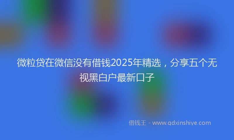微粒贷在微信没有借钱2025年精选，分享五个无视黑白户最新口子