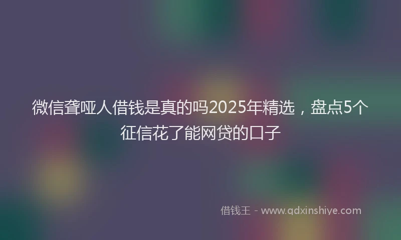 微信聋哑人借钱是真的吗2025年精选，盘点5个征信花了能网贷的口子