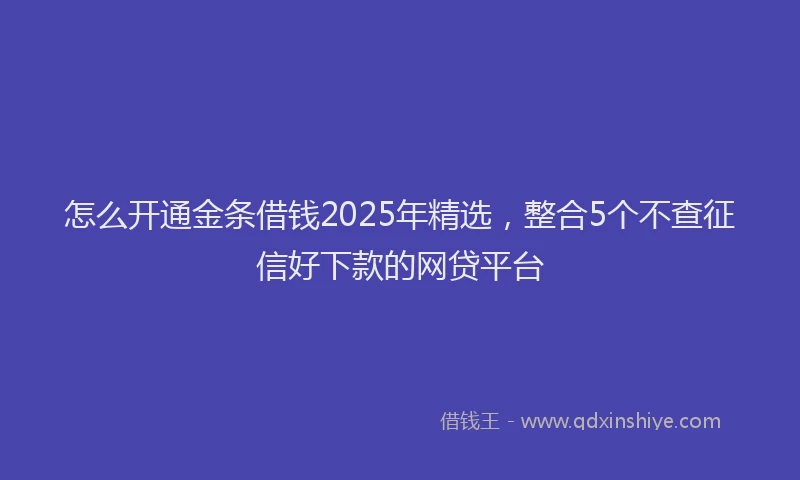 怎么开通金条借钱2025年精选，整合5个不查征信好下款的网贷平台