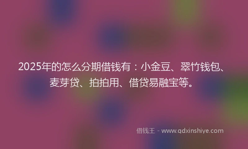 2025年的怎么分期借钱有：小金豆、翠竹钱包、麦芽贷、拍拍用、借贷易融宝等。
