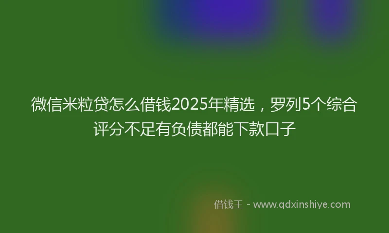 微信米粒贷怎么借钱2025年精选，罗列5个综合评分不足有负债都能下款口子