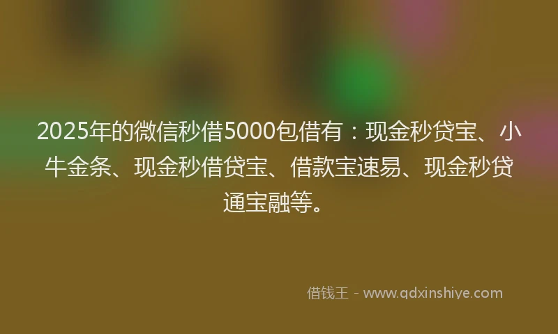 2025年的微信秒借5000包借有：现金秒贷宝、小牛金条、现金秒借贷宝、借款宝速易、现金秒贷通宝融等。